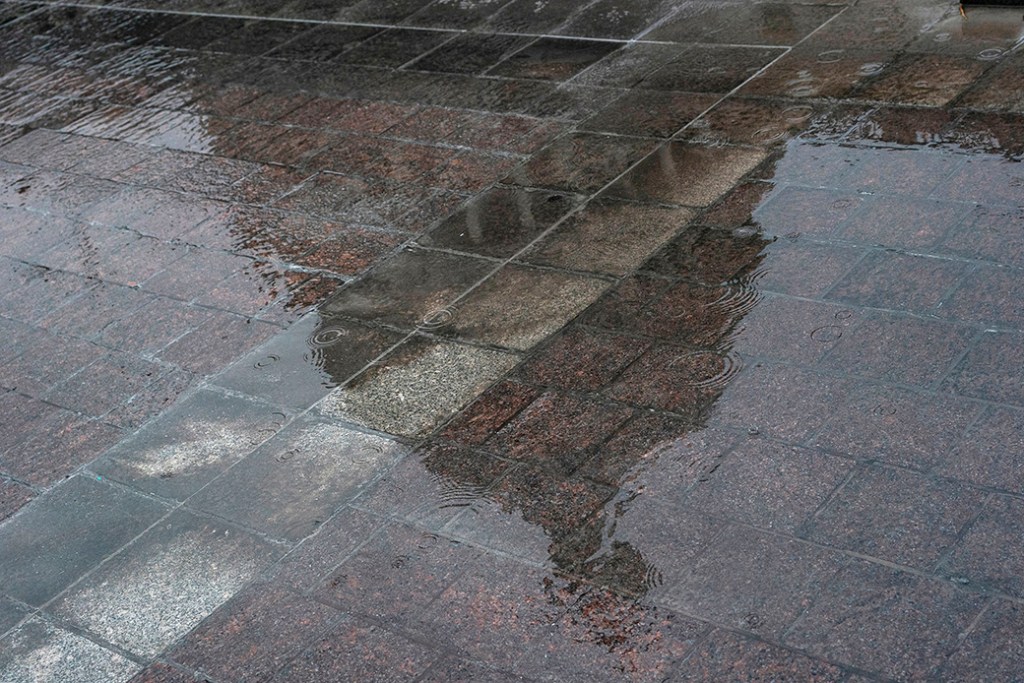 The U.S. Capitol is seen reflected in water in January 2020, in Washington. (Getty/Alex Edelman/AFP)