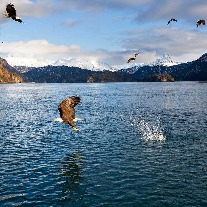 Conservation Policy - Center for American Progress Action