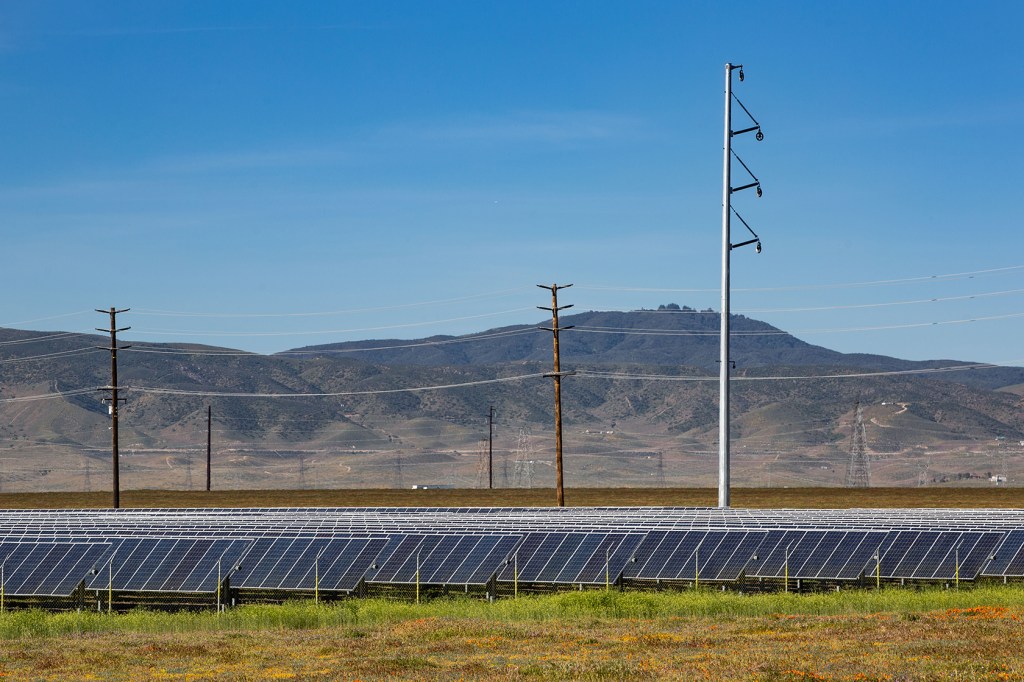 Solar farm beneath blue sky